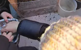 Attività con le scuole