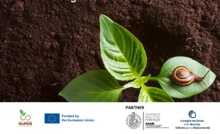 InTerra - Healthy soil in Sesto