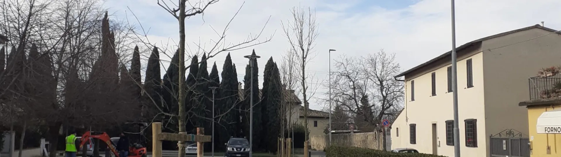 Nuovi alberi