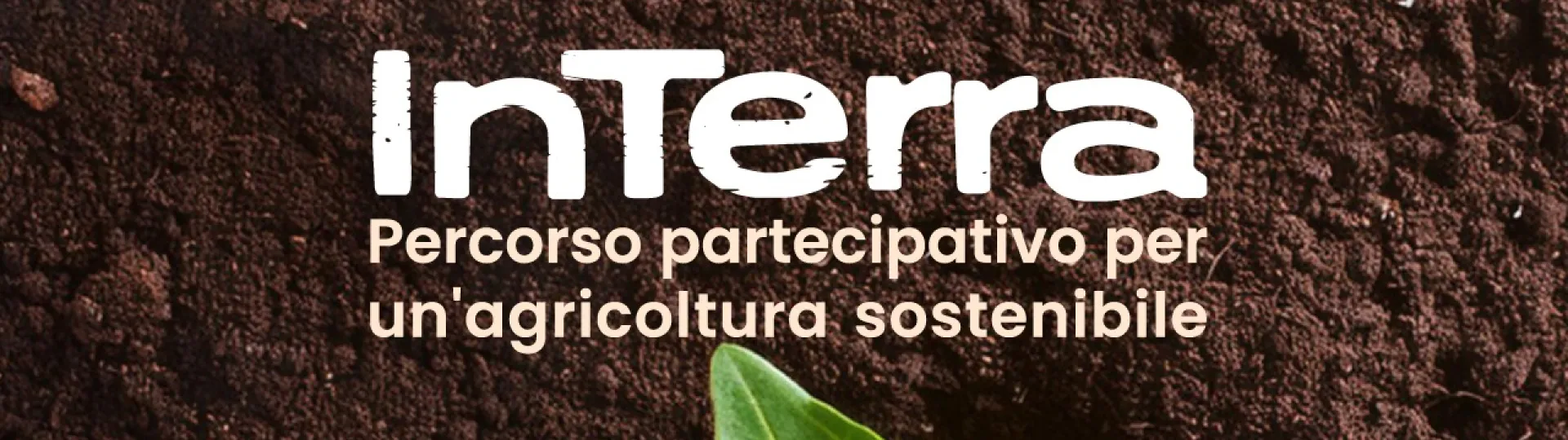 interra banner