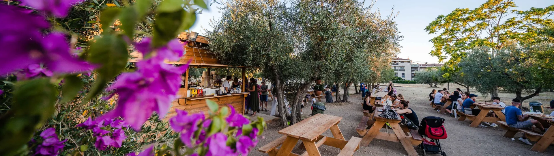 Parco Oliveta