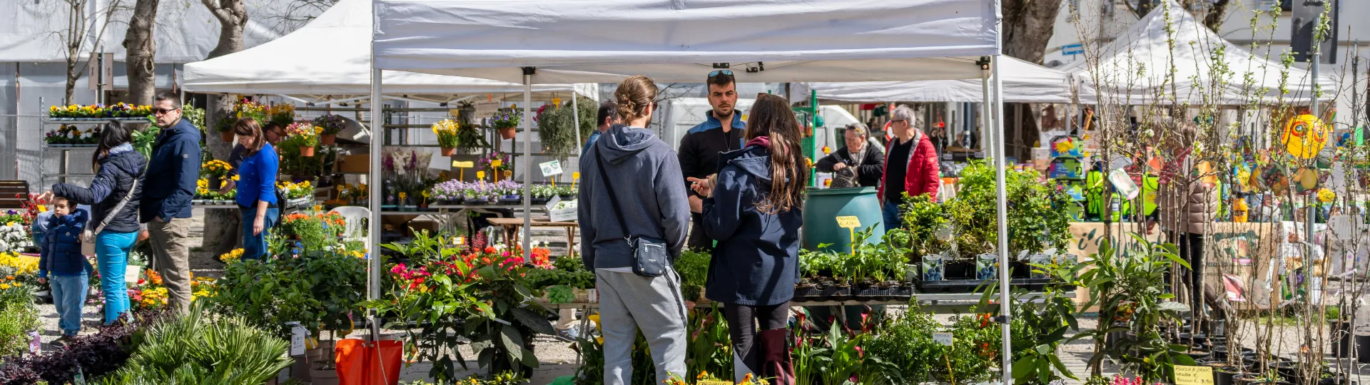 fiorinfiera_2025