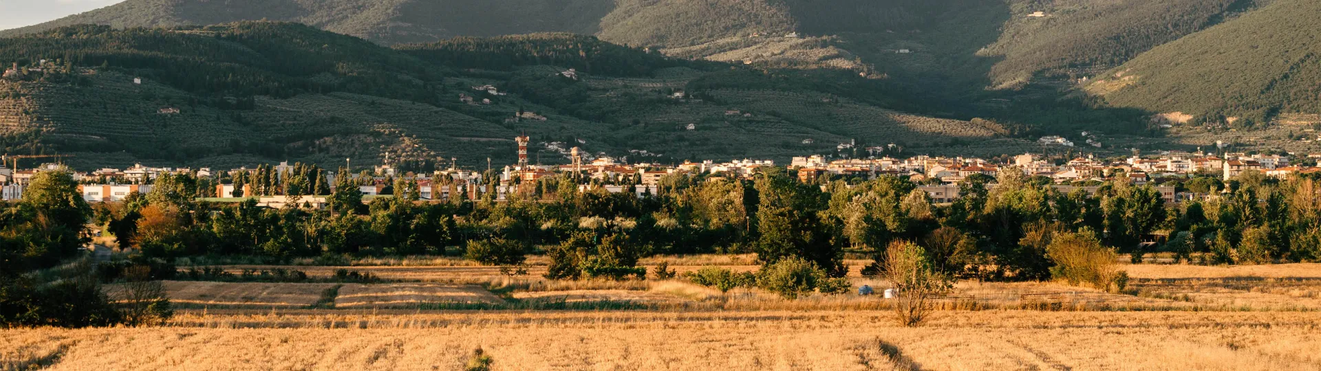 foto-piana.jpg