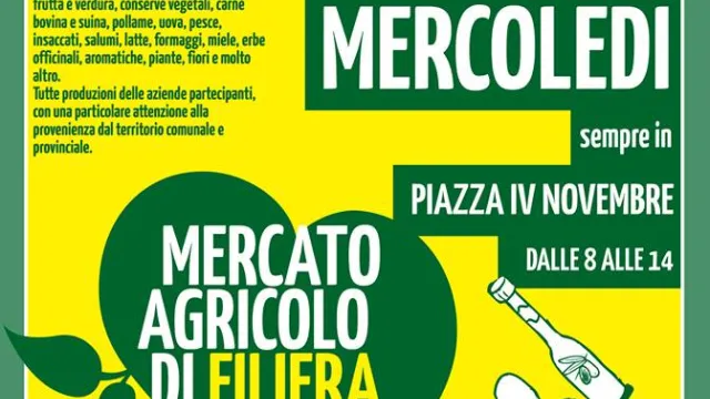 Descrizione immagine non disponibile