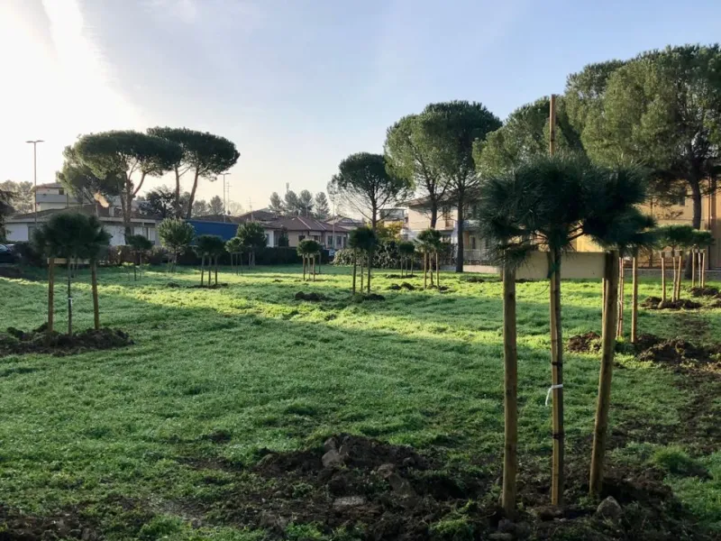 foto-pinetina-francini