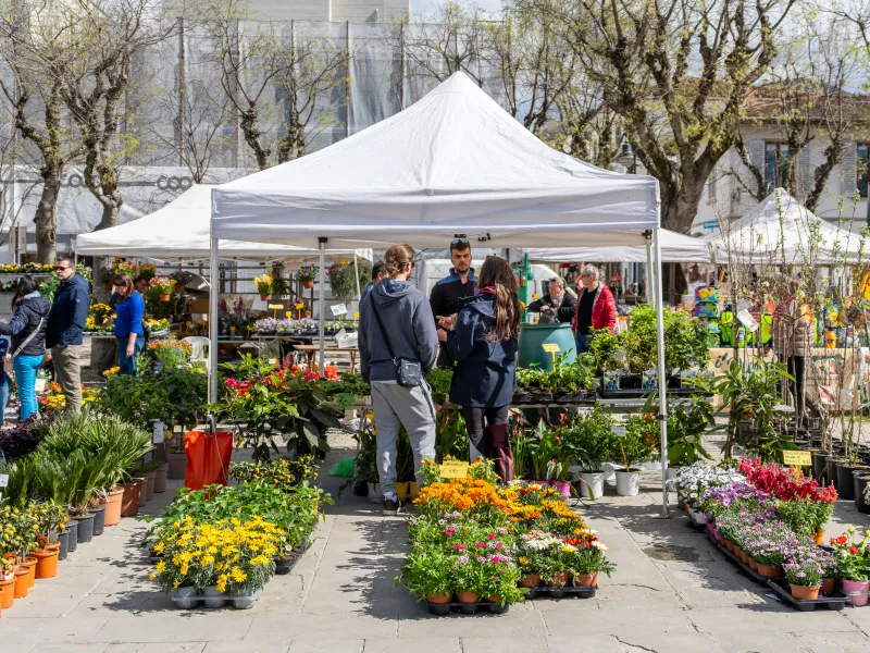 fiorinfiera_2025