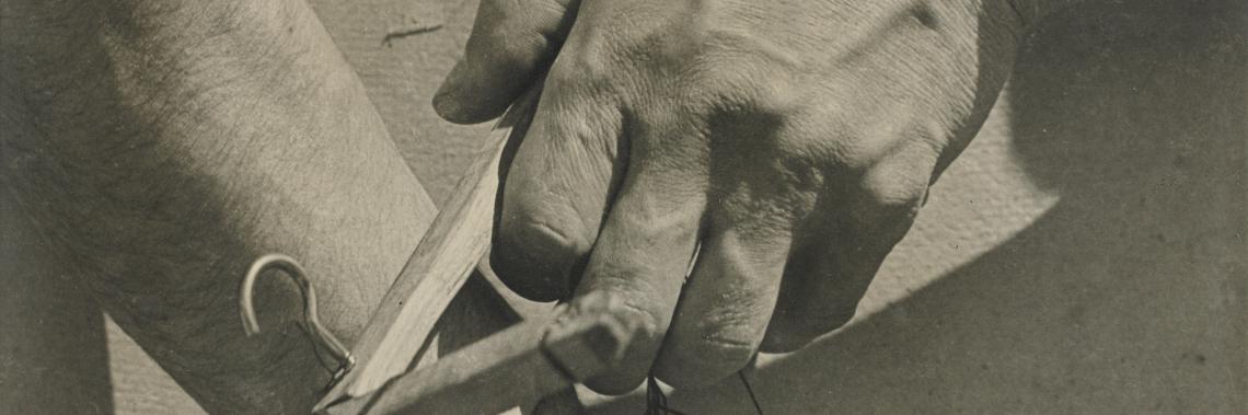 modotti hands