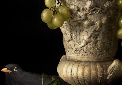 foto Carretti foto Carretti