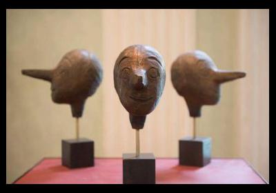 amatissimo pinocchio amatissimo pinocchio