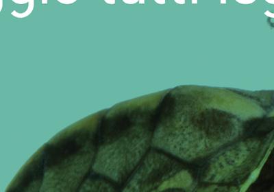 maggio di libri maggio di libri