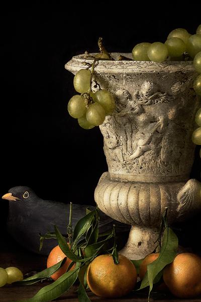 foto Carretti foto Carretti