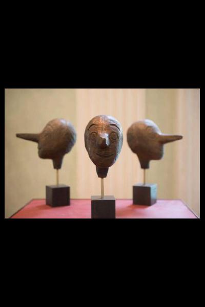 amatissimo pinocchio amatissimo pinocchio