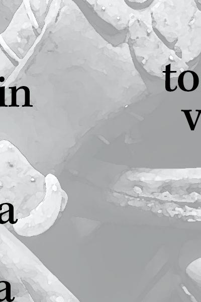 giorno della memoria giorno della memoria