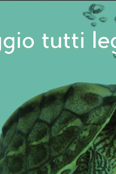 maggio di libri maggio di libri