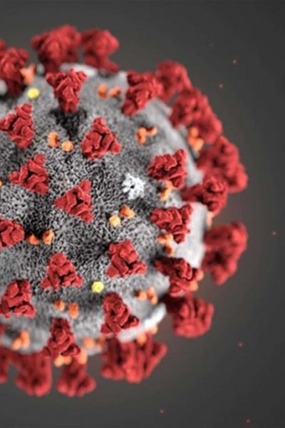 CoronaVirus CoronaVirus