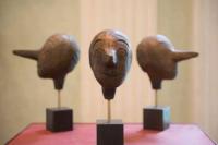 amatissimo pinocchio